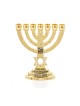Small Decorative 7 Branch Menorah with Star of D... | 7 Branch Menorah