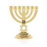 Small Decorative 7 Branch Menorah with Star of D... | 7 Branch Menorah