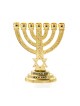 Small Decorative 7 Branch Menorah with Star of D... | 7 Branch Menorah