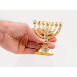 Small Decorative 7 Branch Menorah with Star of D... | 7 Branch Menorah