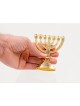 Small Decorative 7 Branch Menorah with Star of D... | 7 Branch Menorah