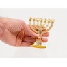 Small Decorative 7 Branch Menorah with Star of D... | 7 Branch Menorah