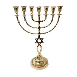7 Branch Menorah Fish and Star of David Design G... | 7 Branch Menorah