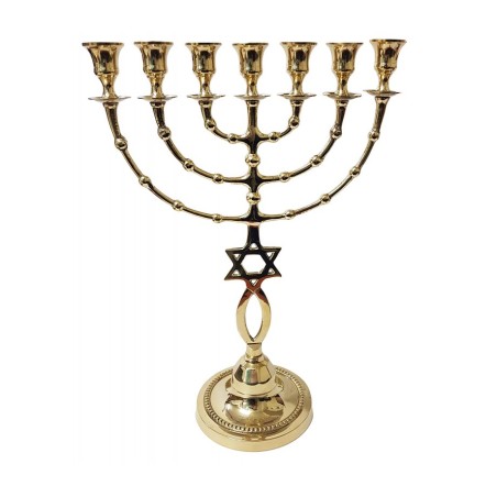 7 Branch Menorah Fish and Star of David Design G... | 7 Branch Menorah