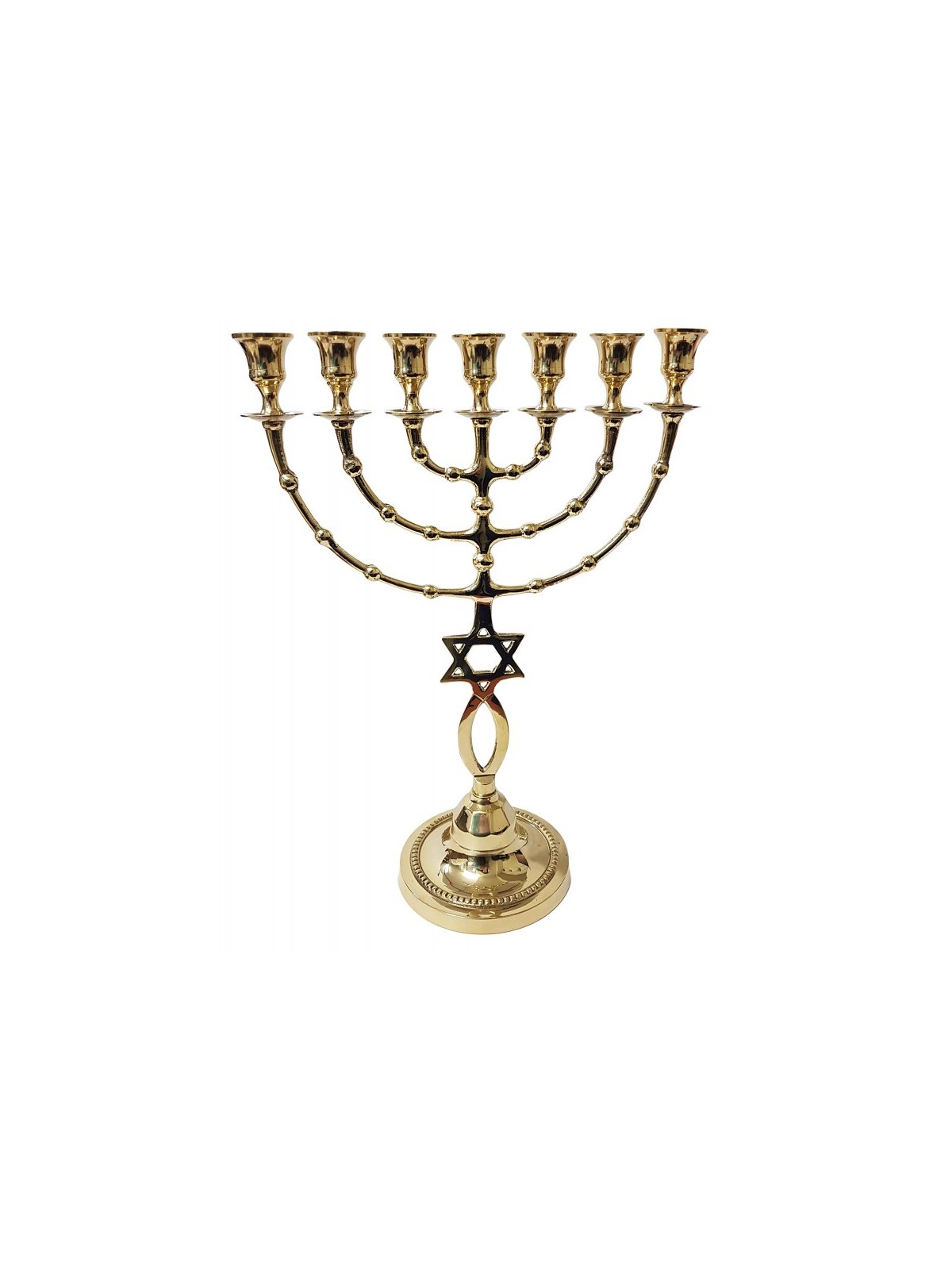7 Branch Menorah Fish and Star of David Design G... | 7 Branch Menorah