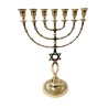 7 Branch Menorah Fish and Star of David Design G... | 7 Branch Menorah