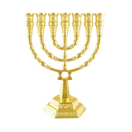7 Branch Menorah with Star of David and Jerusale... | 7 Branch Menorah