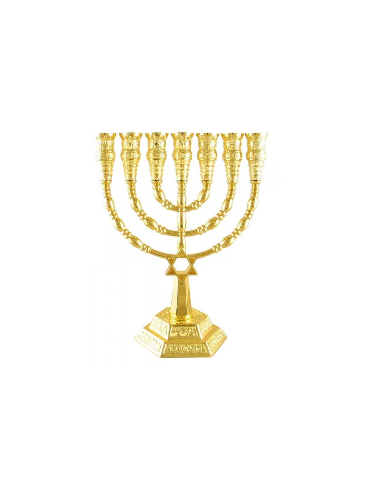 7 Branch Menorah with Star of David and Jerusale... | 7 Branch Menorah