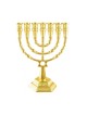 7 Branch Menorah with Star of David and Jerusale... | 7 Branch Menorah