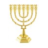 7 Branch Menorah with Star of David and Jerusale... | 7 Branch Menorah