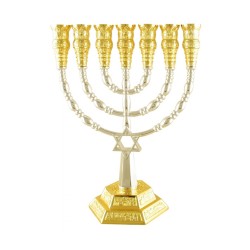 Two Tone Silver and Gold 7 Branch Menorah Star o... | 7 Branch Menorah