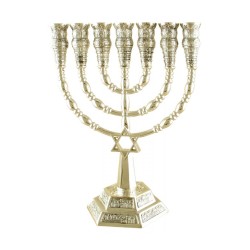7 Branch Menorah with Star of David and Jerusale... | 7 Branch Menorah