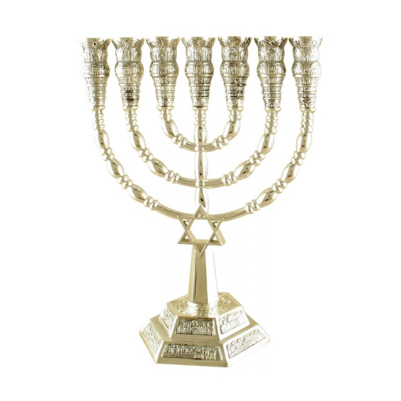 7 Branch Menorah with Star of David and Jerusale... | 7 Branch Menorah