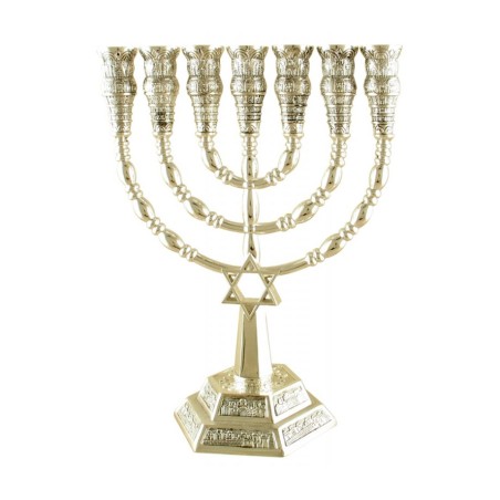 7 Branch Menorah with Star of David and Jerusale... | 7 Branch Menorah
