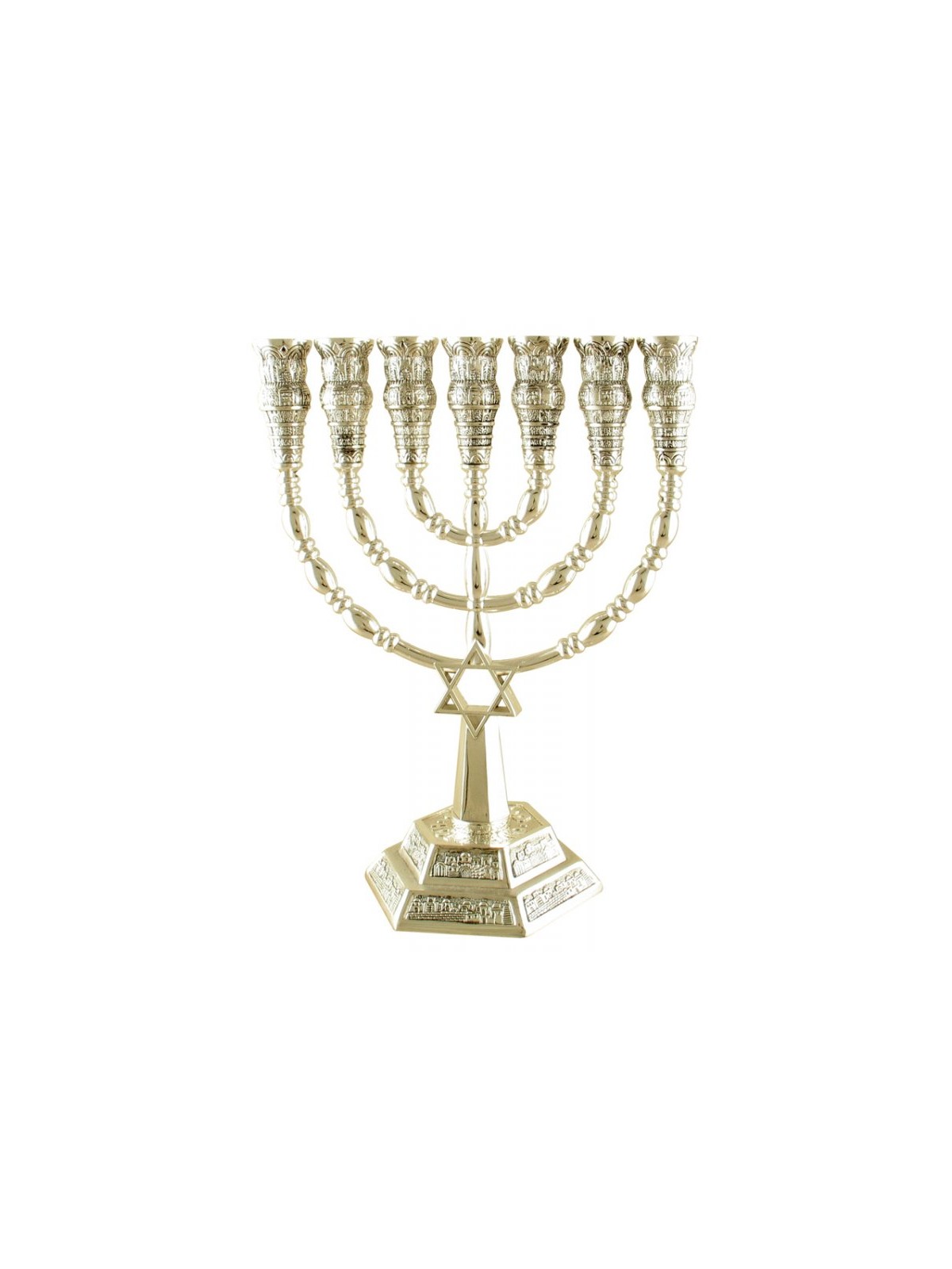 7 Branch Menorah with Star of David and Jerusale... | 7 Branch Menorah