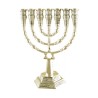 7 Branch Menorah with Star of David and Jerusale... | 7 Branch Menorah