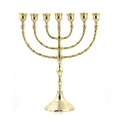 Seven Branch Menorah Gleaming Gold Brass in Clas... | 7 Branch Menorah