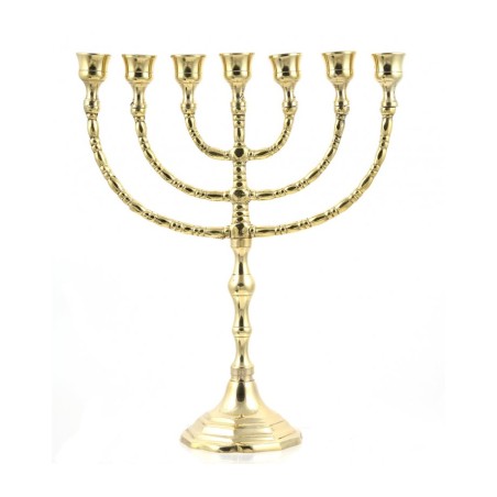 Seven Branch Menorah Gleaming Gold Brass in Clas... | 7 Branch Menorah