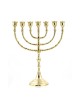 Seven Branch Menorah Gleaming Gold Brass in Clas... | 7 Branch Menorah