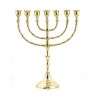 Seven Branch Menorah Gleaming Gold Brass in Clas... | 7 Branch Menorah