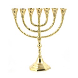 Seven Branch Menorah Gleaming Gold Brass in Clas... | 7 Branch Menorah
