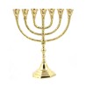 Seven Branch Menorah Gleaming Gold Brass in Clas... | 7 Branch Menorah