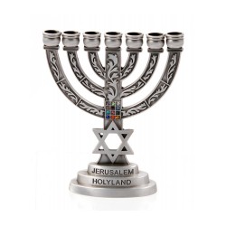 Small Seven Branch Menorah with Star of David Br... | 7 Branch Menorah