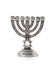 Small Seven Branch Menorah with Star of David Br... | 7 Branch Menorah
