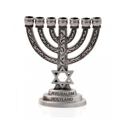 Small Seven Branch Menorah with Star of David Br... | 7 Branch Menorah