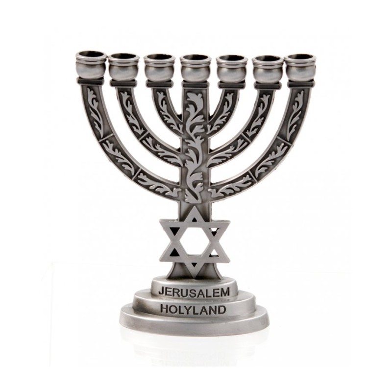 Small Seven Branch Menorah with Star of David Br... | 7 Branch Menorah