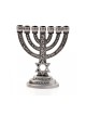 Small Seven Branch Menorah with Star of David Br... | 7 Branch Menorah