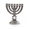 Small Seven Branch Menorah with Star of David Br... | 7 Branch Menorah