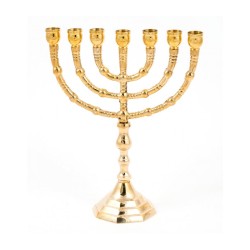 חנוכיית שבעה סניפים עם ענפים דקורטיביים גל... | חנוכיית סניף 7