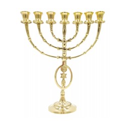 7 Branch Menorah with Oval Framed Menorah Grafte... | 7 Branch Menorah