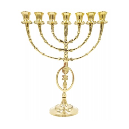 7 Branch Menorah with Oval Framed Menorah Grafte... | 7 Branch Menorah