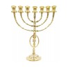 7 Branch Menorah with Oval Framed Menorah Grafte... | 7 Branch Menorah