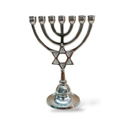 Seven Branch Nickel Menorah with Star of David o... | 7 Branch Menorah