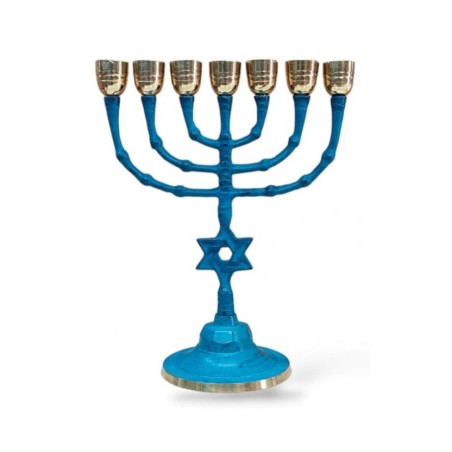 Seven Branch Patina Menorah with Star of David o... | 7 Branch Menorah