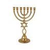 Yair Emanuel Seven Branch Menorah with Star of D... | 7 Branch Menorah