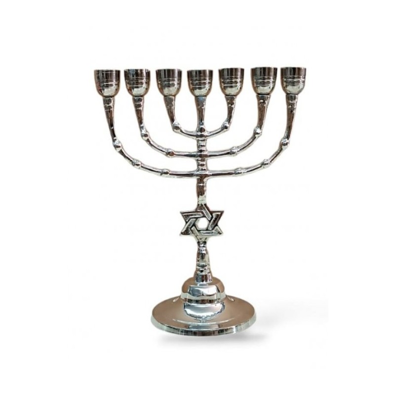 Seven Branch Nickel Menorah with Star of David o... | 7 Branch Menorah
