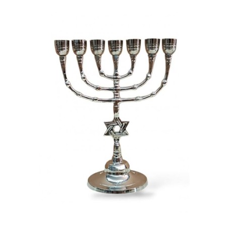 Seven Branch Nickel Menorah with Star of David o... | 7 Branch Menorah