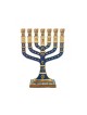 Small Gold Metal 7 Branch Menorah with Enamel 12... | 7 Branch Menorah