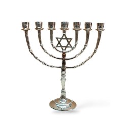 Seven Branch Menorah on Stem with Star of David ... | 7 Branch Menorah