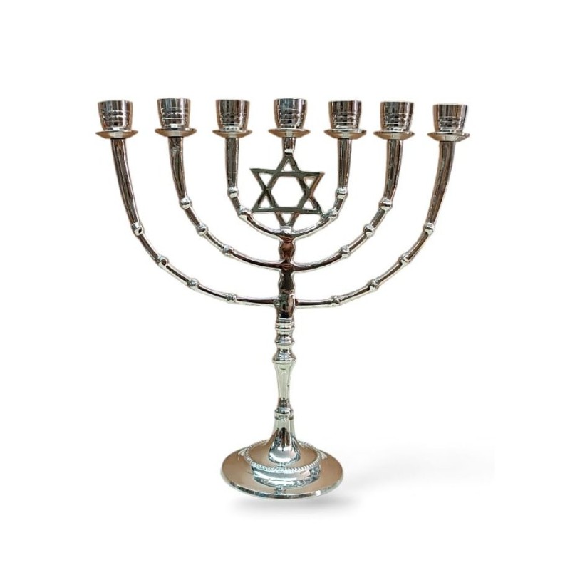 Seven Branch Menorah on Stem with Star of David ... | 7 Branch Menorah