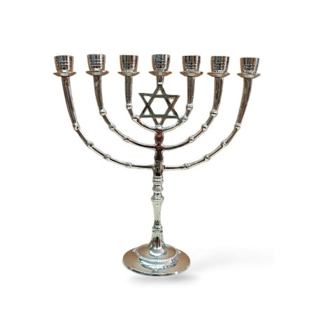 Seven Branch Menorah on Stem with Star of David ... | 7 Branch Menorah