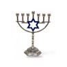 Small Silver Seven Branch Menorah on Stem with B... | 7 Branch Menorah