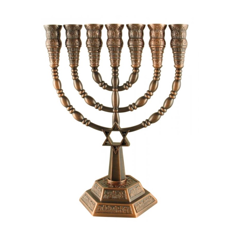 7 Branch Menorah with Star of David and Jerusale... | 7 Branch Menorah