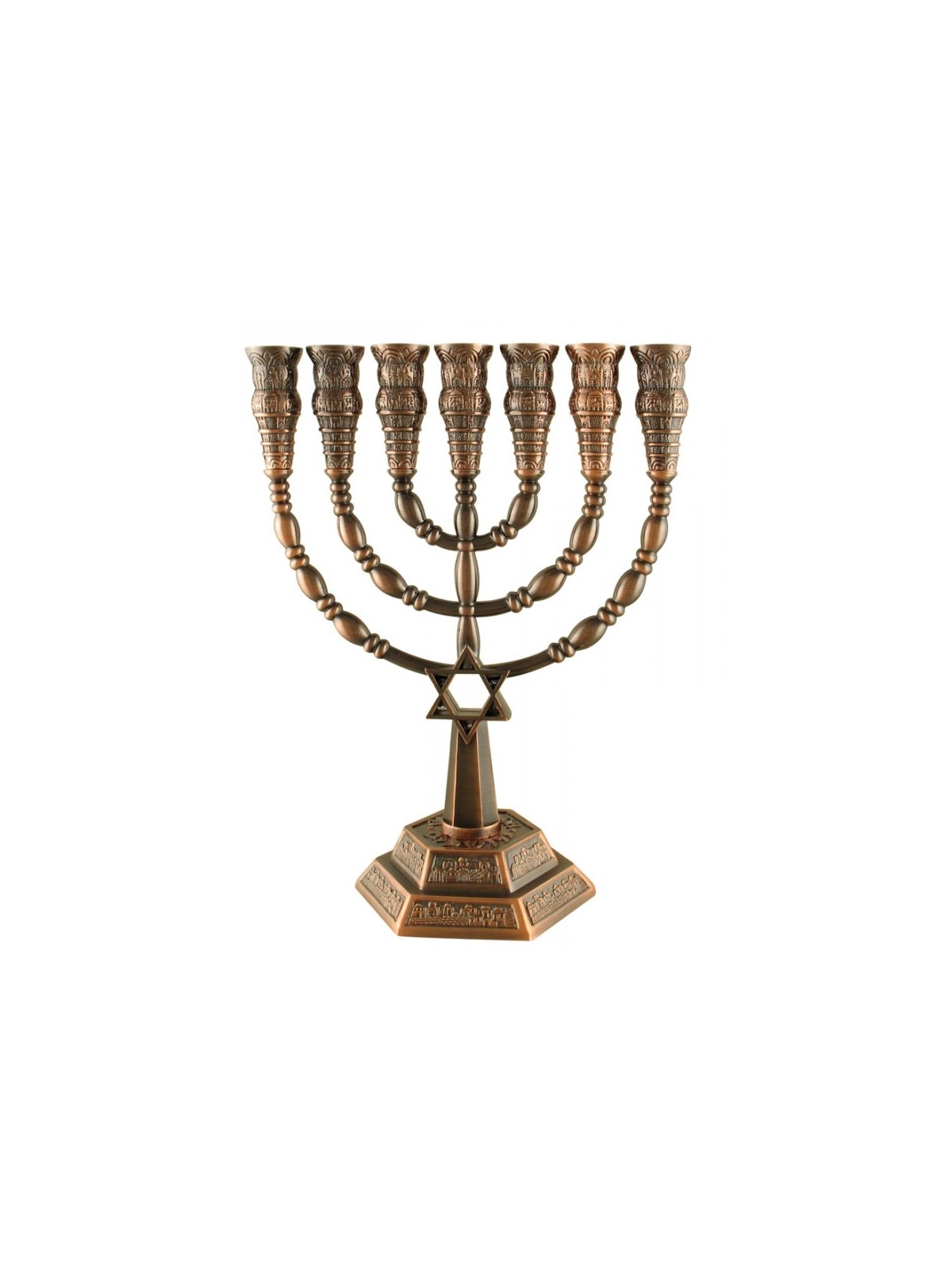 7 Branch Menorah with Star of David and Jerusale... | 7 Branch Menorah