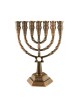 7 Branch Menorah with Star of David and Jerusale... | 7 Branch Menorah