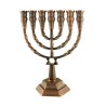 7 Branch Menorah with Star of David and Jerusale... | 7 Branch Menorah